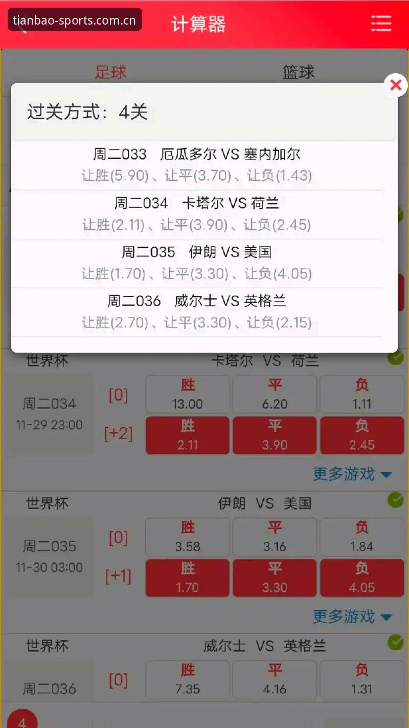 天宝博体育中国官方网站 资深用户分享:世界杯观赛签证危机下的实战应对心得